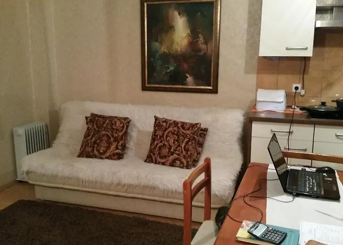 Neravu Namai Apartmán Druskininkai